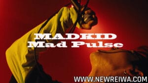 Leia mais sobre o artigo MADKID – Mad Pulse